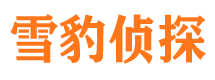 辛集捉小三公司